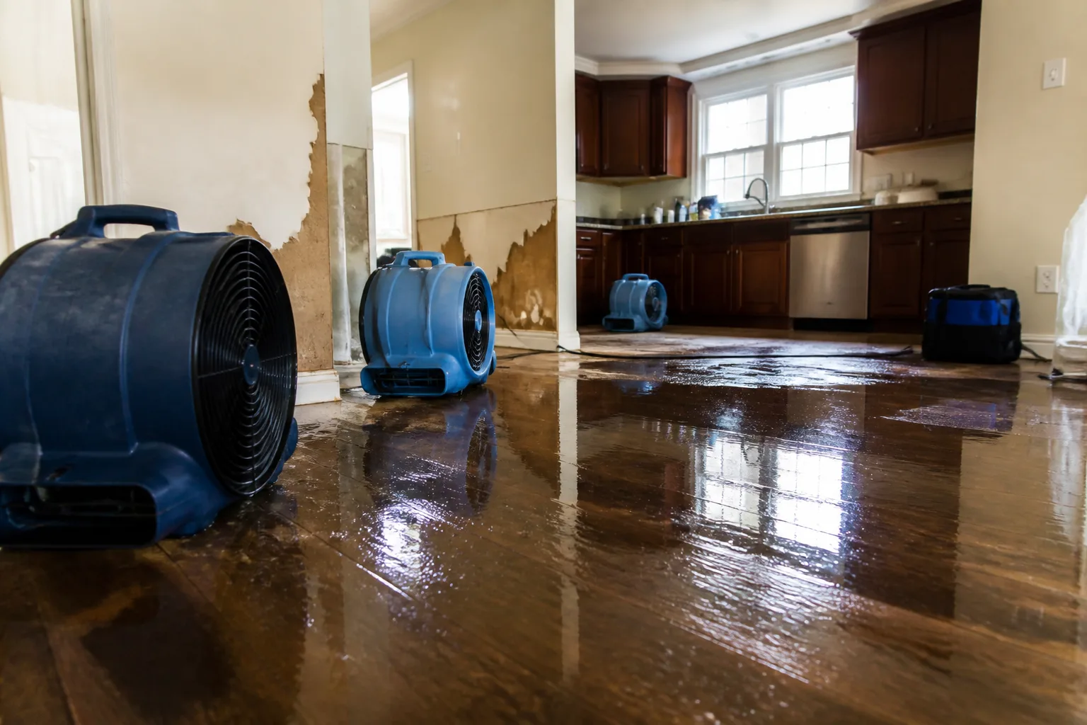Water Damage Restoration Pricing Breakdown: What Union City Homeowners Pay in 2026